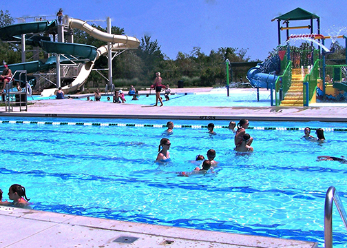 People in the Pool Swim Lanes