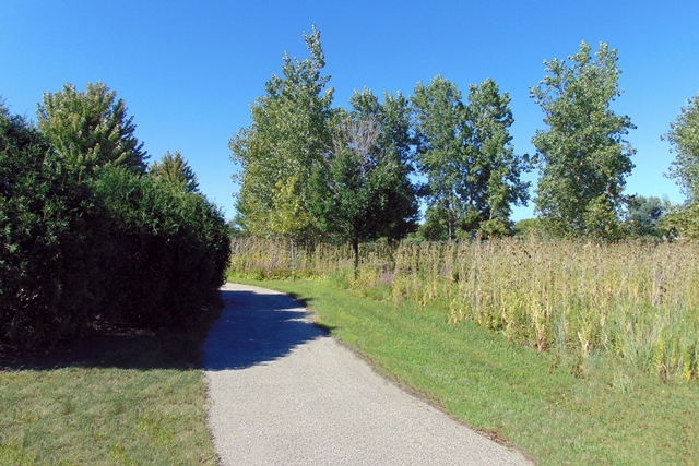 Community Park Path