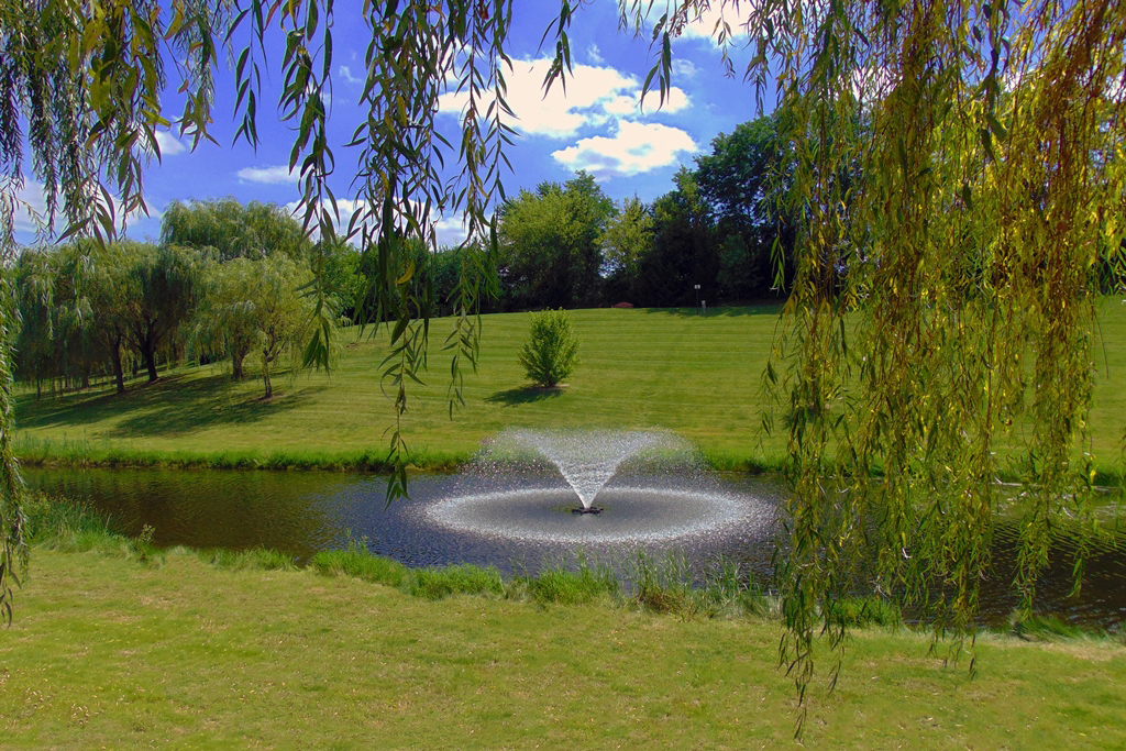 Heritage Oaks Park Pond