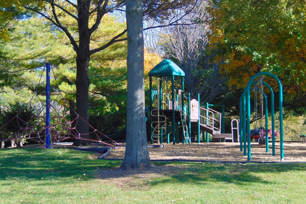 Rambling Hills Park Playground