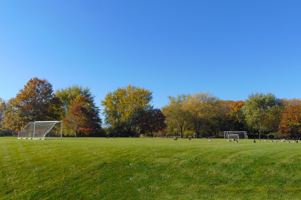 Rambling Hills Park Soccer Fields