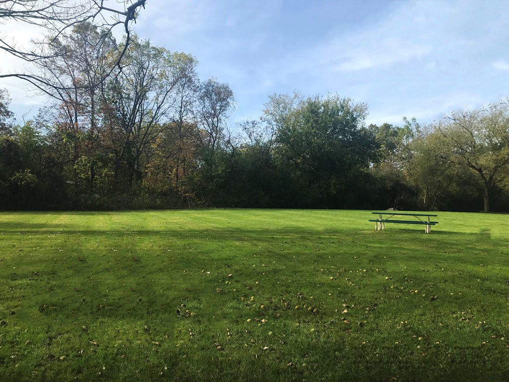 Woodland Park Open Space