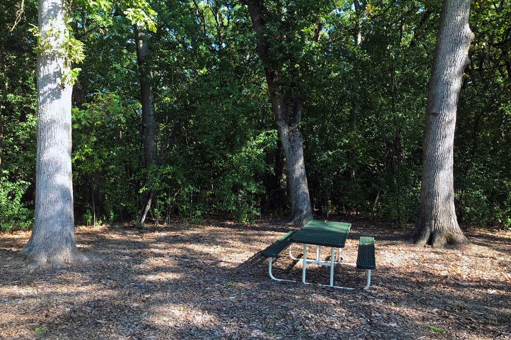 Acorn Acres Park Picnic Table
