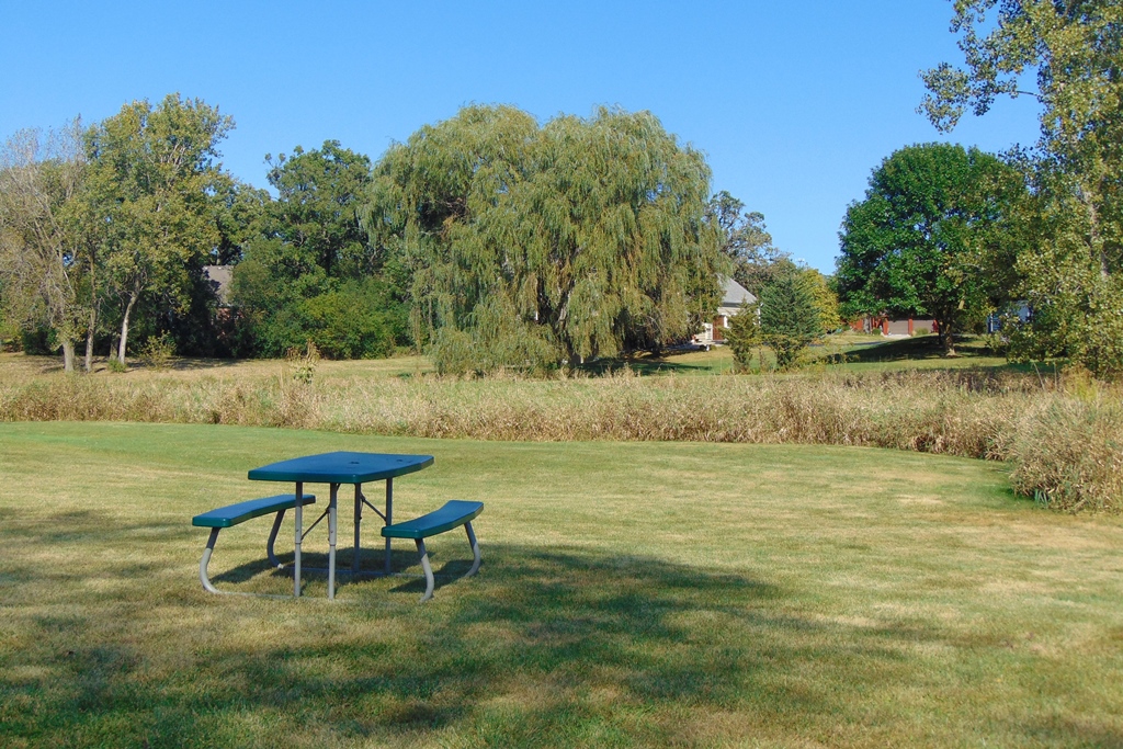 Bridlewoods Park Picnic Table