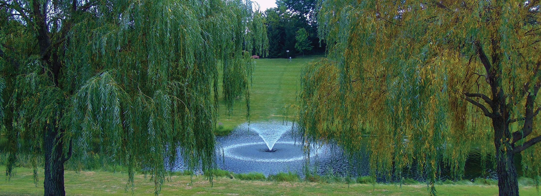 Pond and Trees at Heritage Oaks Park