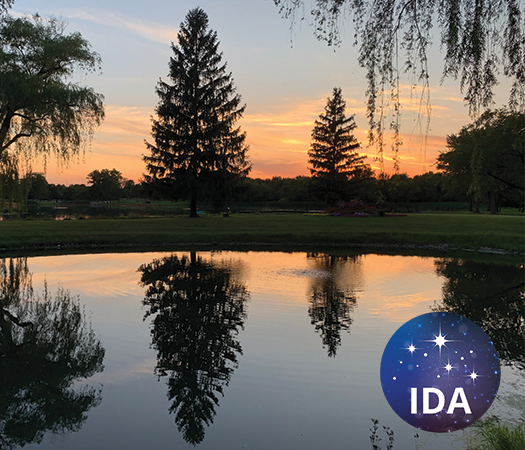 An International Dark Skies Community 