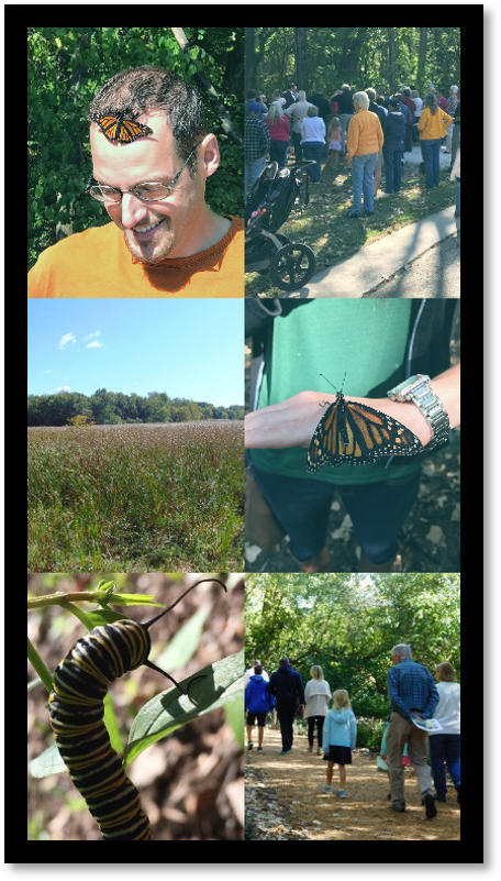 Brierwoods Collage Opens in new window